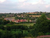 注册离岸公司开拓海外市场发展国际贸易