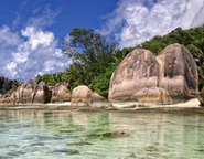 选择专业的代理机构注册离岸公司