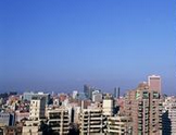 什么是离岸公司