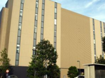 以个人名义注册日本公司的注意事项