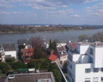 注册纽埃公司所需资料