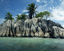 注册开曼公司有哪些要求