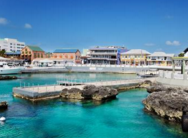 注册开曼公司的条件