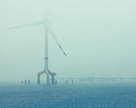 选择专业的代理机构注册离岸公司