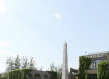 阿根廷公司类型