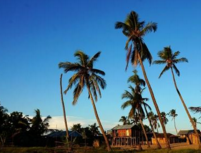 马达加斯加公司的注册流程