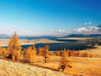 注册蒙古公司的流程