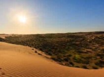 注册塞内加尔公司的优势