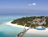 注册离岸公司可分为哪几种类型