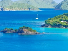 注册中国香港公司找专业代理机构注册