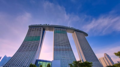 企业文化与团队建设的重要性