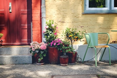 开设公司银行账户：管理资金与业务