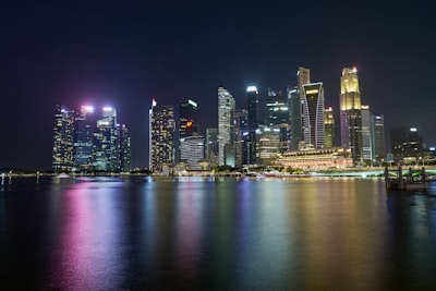 2. 注册新加坡公司的基本要求