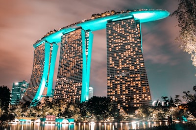 新加坡公司注册的类型