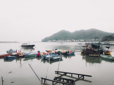 政府支持与促进政策