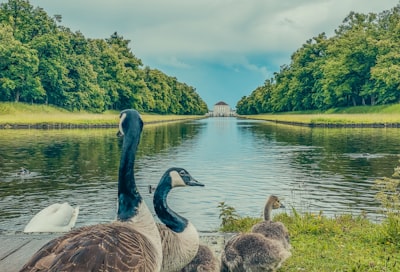 在德国注册公司需要多少钱？
