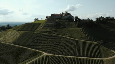 行业法规审核与合规