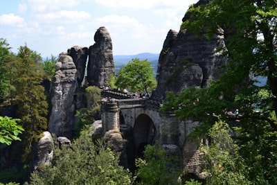 确定公司品牌和商标注册