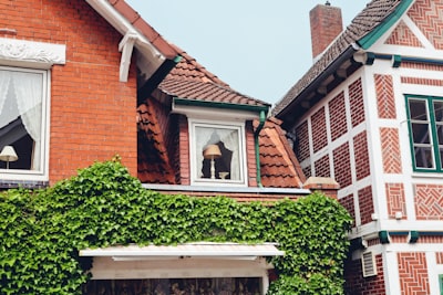 选择适合的公司形式