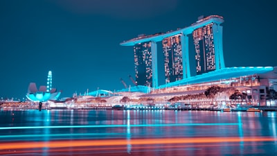 新加坡公司注册的选择：私人有限公司或其他类型？