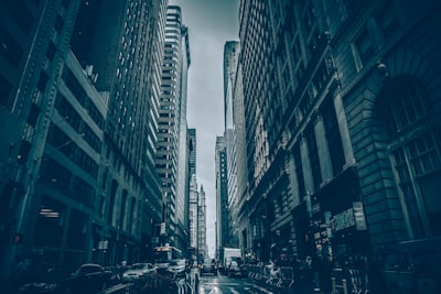 未来前景：香港人才战略的前瞻性