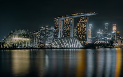 注册新加坡公司的费用明细