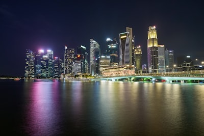 选择公司类型：新加坡的主要公司形式