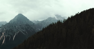 8. 未来注册公司的趋势与挑战