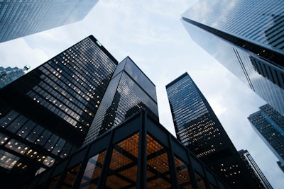 Leveraging Professional Services: Ensuring Compliance and Efficiency