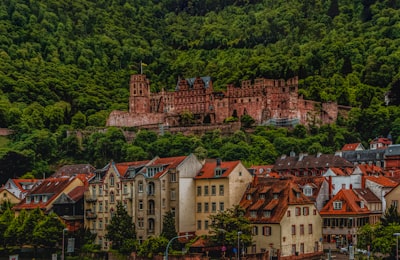 注册所需材料清单