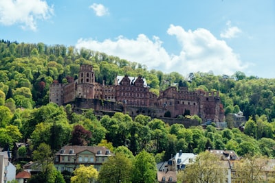 德国税务考量：了解您的税务义务