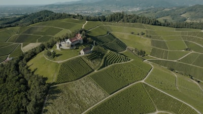 确定公司名称：确保独特性和合法性