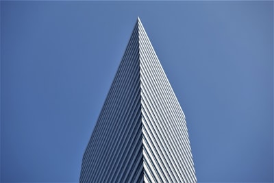 新加坡公司注册后的运营与维护