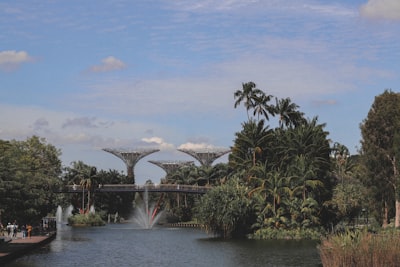 新加坡公司注册的注意事项