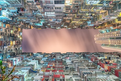 香港企业家计划的未来展望