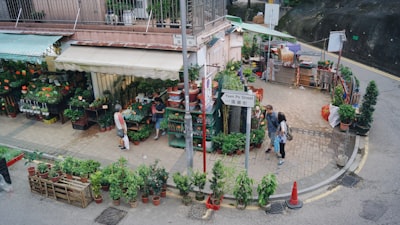 如何抓住机遇，筑梦香江？