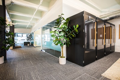 BVI公司注册的注意事项