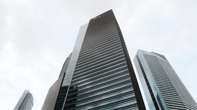 新加坡公司注册类型