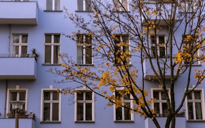 成功注册德国公司的关键策略