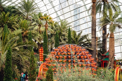 六、持续运营：保持竞争力