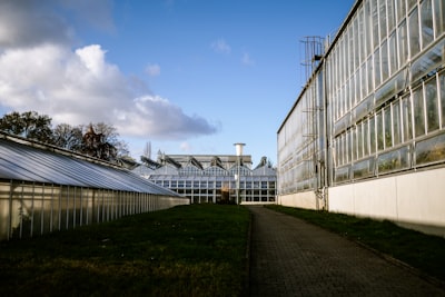 踏上德国创业之旅：注册公司的全面解析