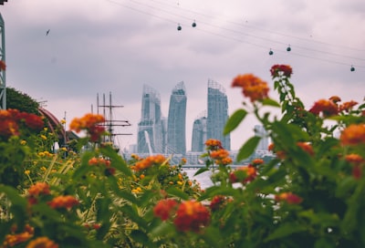 总结：在狮城开启商业之旅