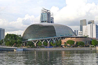 寻求专业帮助：简化流程，规避风险