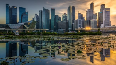 6. 成功案例与启示