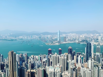 申请流程与注意事项：成功申请的关键