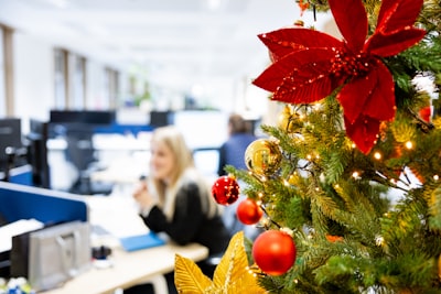 备案的基本流程