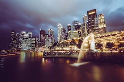 公司类型选择：量身定制，匹配您的业务模式