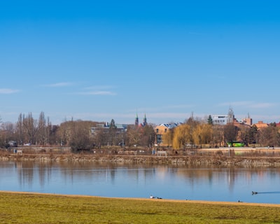 选择合适的公司类型：关键的第一步