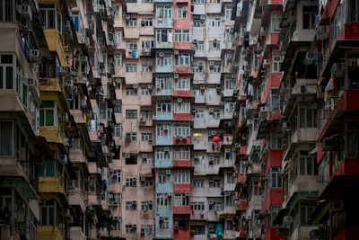 高才通计划对香港发展的深远影响