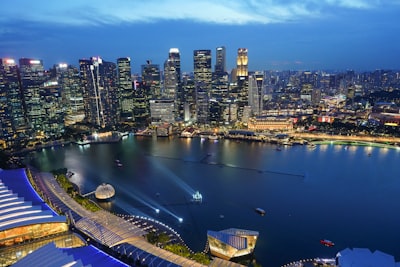 聘请专业服务机构的重要性